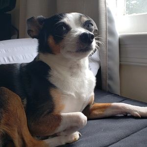 Meet your Posher, Alex